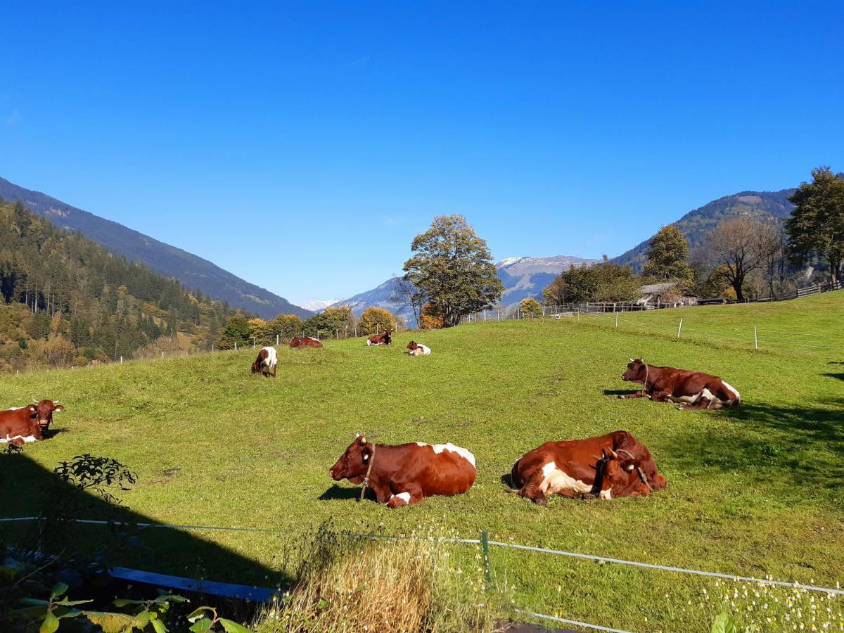 Hoislbauerngut Apartman Bad Hofgastein Kültér fotó
